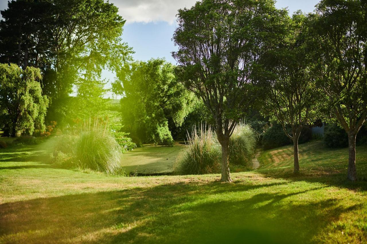Parehua Resort Martinborough Værelse billede