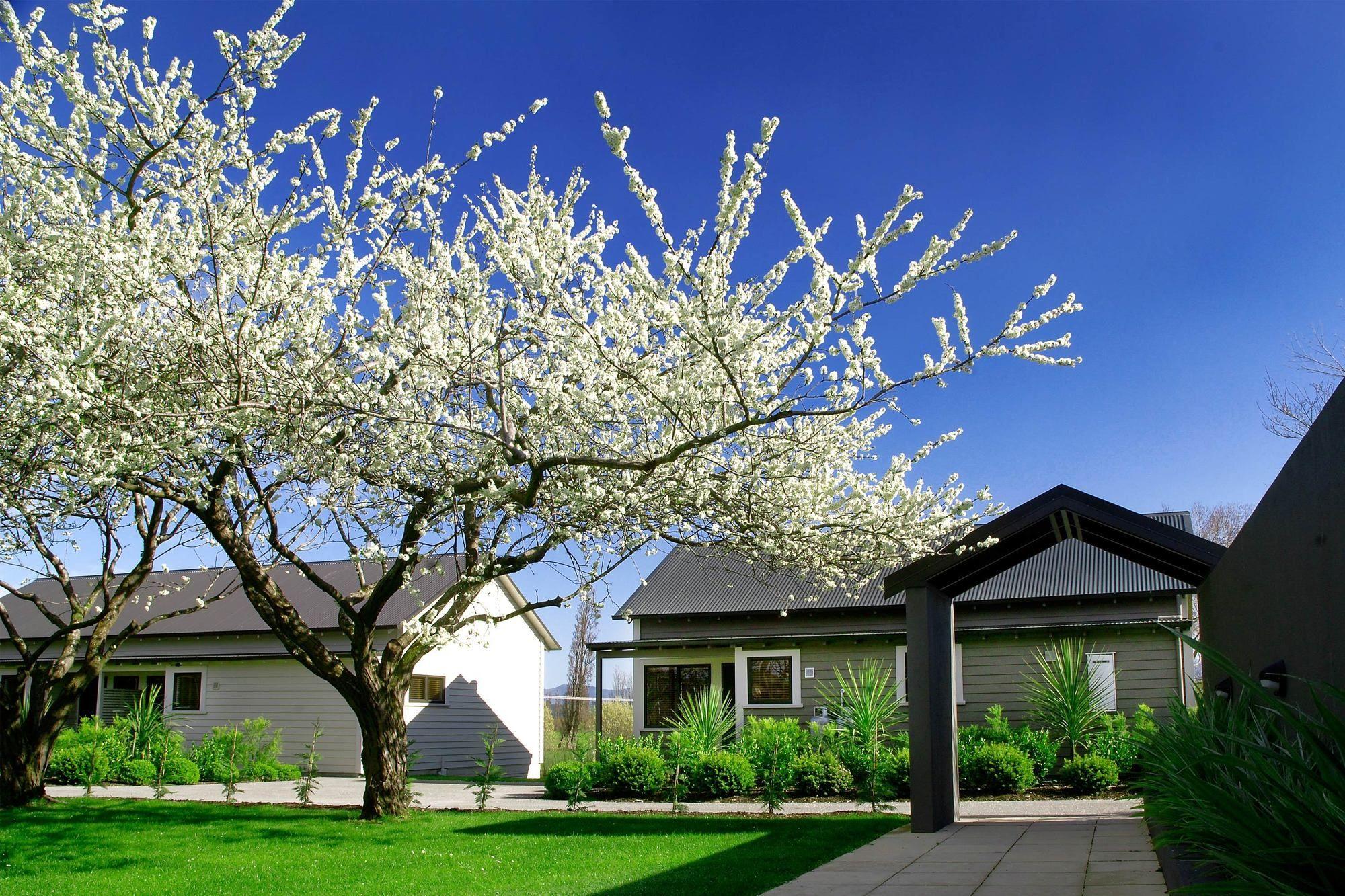 Parehua Resort Martinborough Eksteriør billede Residential area in the town